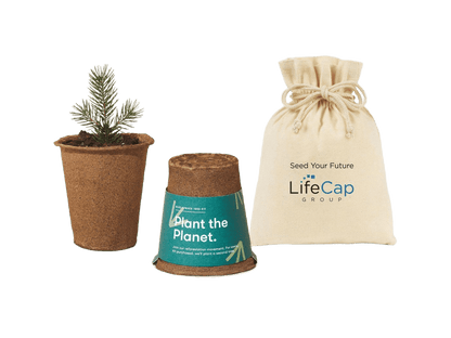 Modern Sprout® One For One Tree Kits - Plant Grow Kits - SwagWear