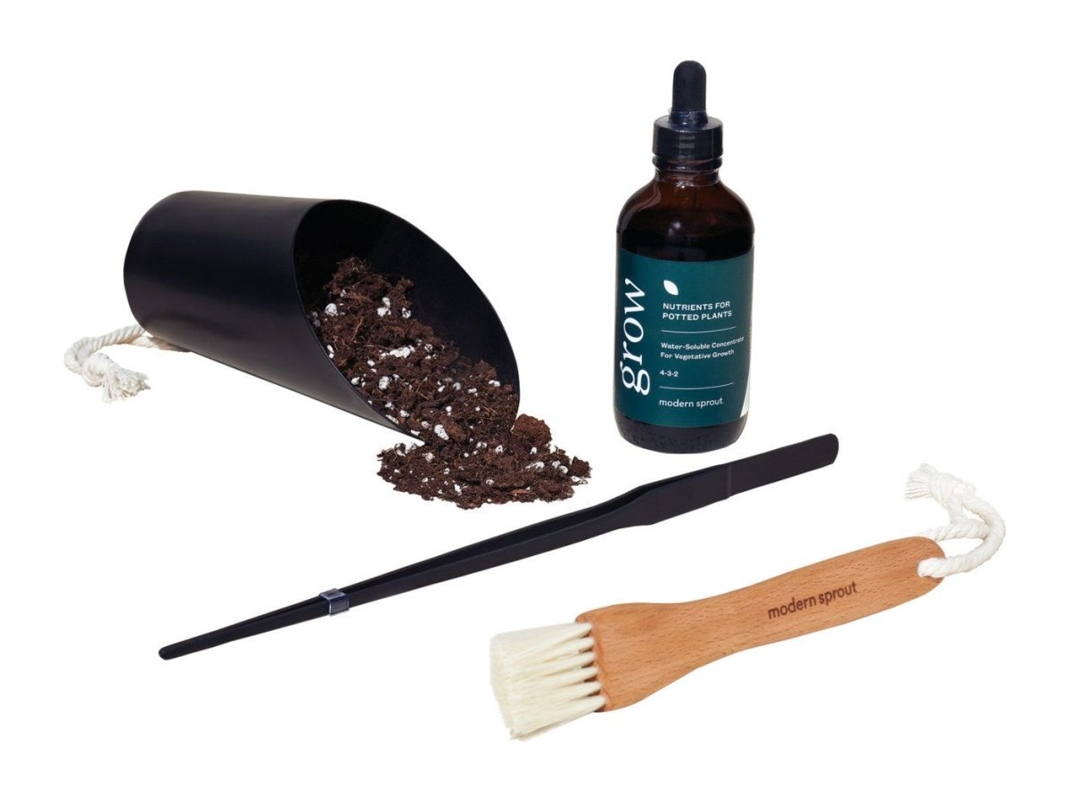 Modern Sprout® Plant Parent Care Kit - Plant Grow Kits - SwagWear