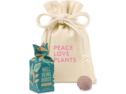 Modern Sprout® Encouragement Seed Bomb - Well Being Boost - Plant Grow Kits
