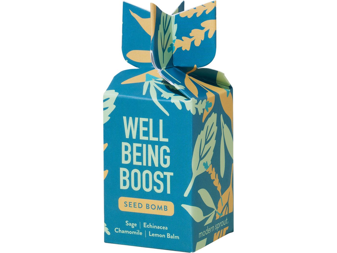 Modern Sprout® Encouragement Seed Bomb - Well Being Boost - Plant Grow Kits
