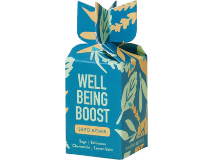 Modern Sprout® Encouragement Seed Bomb - Well Being Boost - Plant Grow Kits