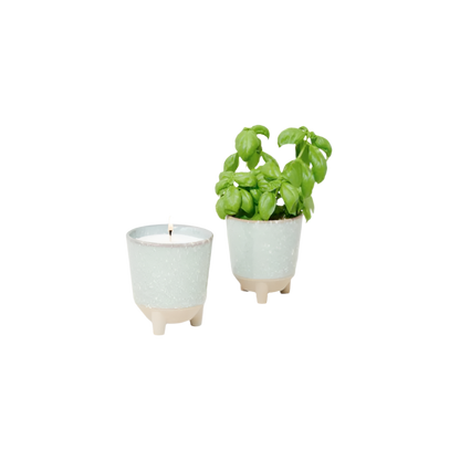Modern Sprout® Glow & Grow Live Well Gift Set - Blue Green: Herb Garden w/ Basil Seeds - Plant Grow Kits