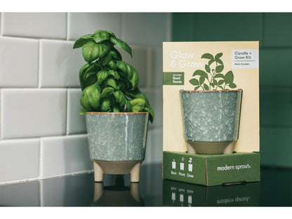 Modern Sprout® Glow & Grow Live Well Gift Set - Plant Grow Kits
