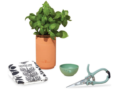 Modern Sprout® Growing Gourmet Gift Set - Plant Grow Kits