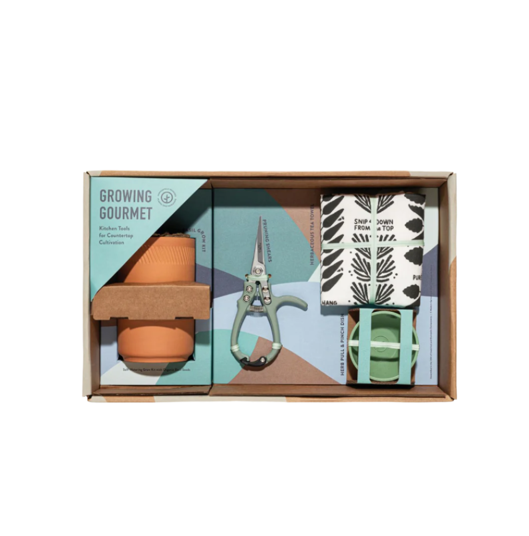 Modern Sprout® Growing Gourmet Gift Set - Plant Grow Kits