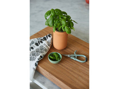 Modern Sprout® Growing Gourmet Gift Set - Plant Grow Kits