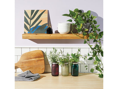 Modern Sprout® Indoor Herb Garden Kit - Plant Grow Kits