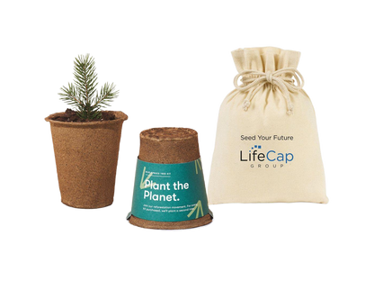 Modern Sprout® One For One Tree Kits - Plant Grow Kits