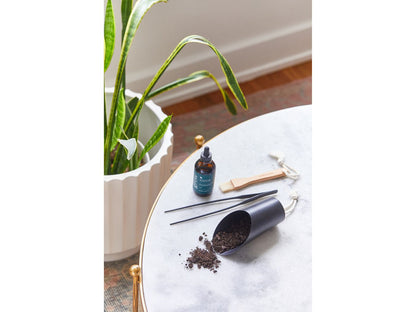 Modern Sprout® Plant Parent Care Kit - Black - Plant Grow Kits
