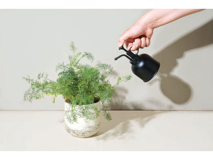 Modern Sprout® Plant Parent Mister - Black - Plant Grow Kits