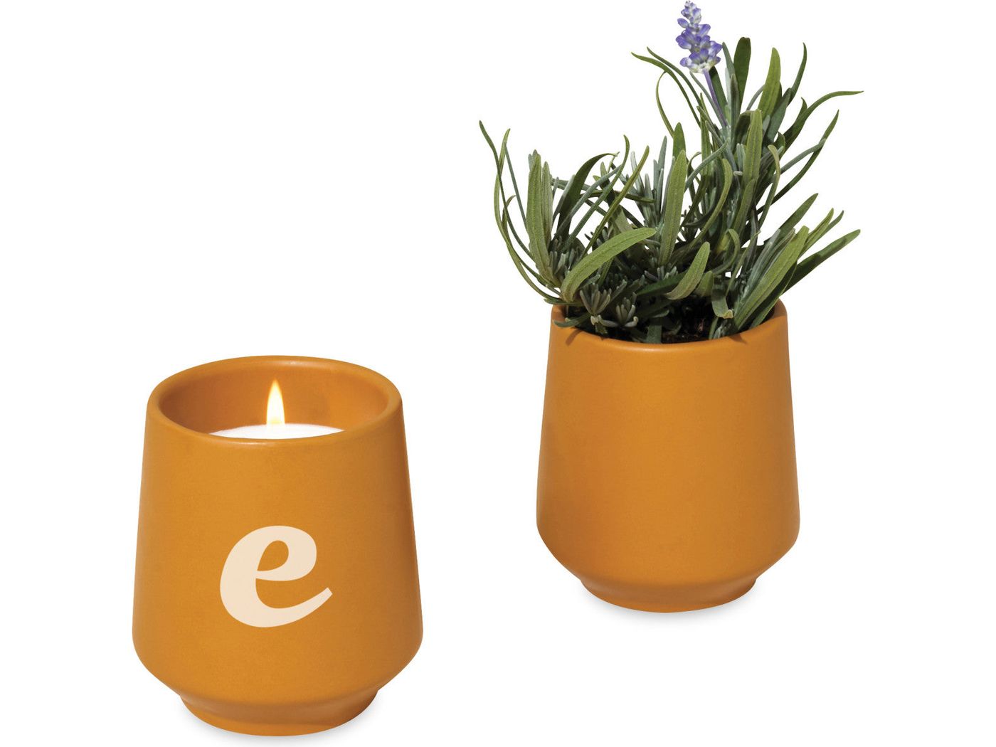 Modern Sprout® Rooted Candle - Mustard/Lavender - Candles