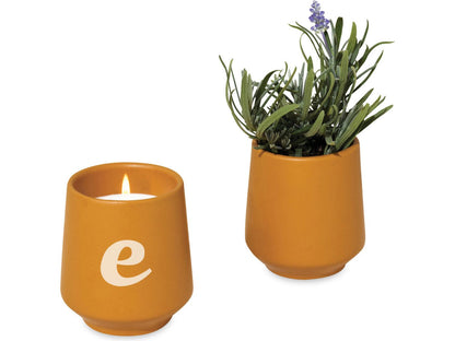 Modern Sprout® Rooted Candle - Mustard/Lavender - Candles