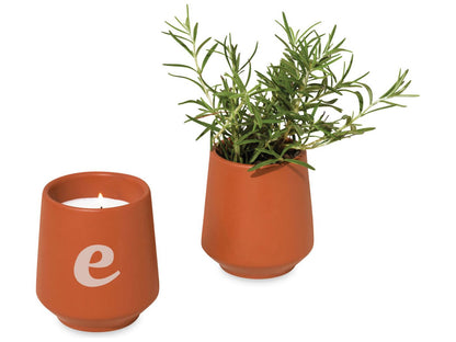 Modern Sprout® Rooted Candle - Sienna/Rosemary - Candles