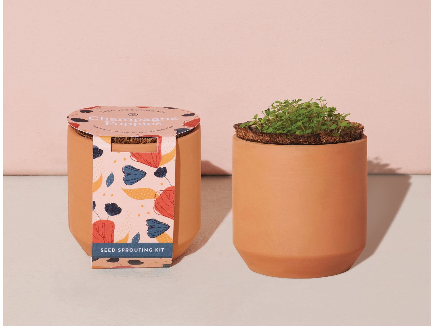 Modern Sprout® Tiny Terracotta Grow Kit Champagne Poppies - Terracotta - Plant Grow Kits