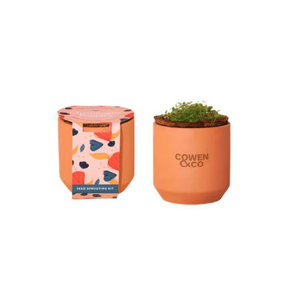 Modern Sprout® Tiny Terracotta Grow Kit Champagne Poppies - Terracotta - Plant Grow Kits