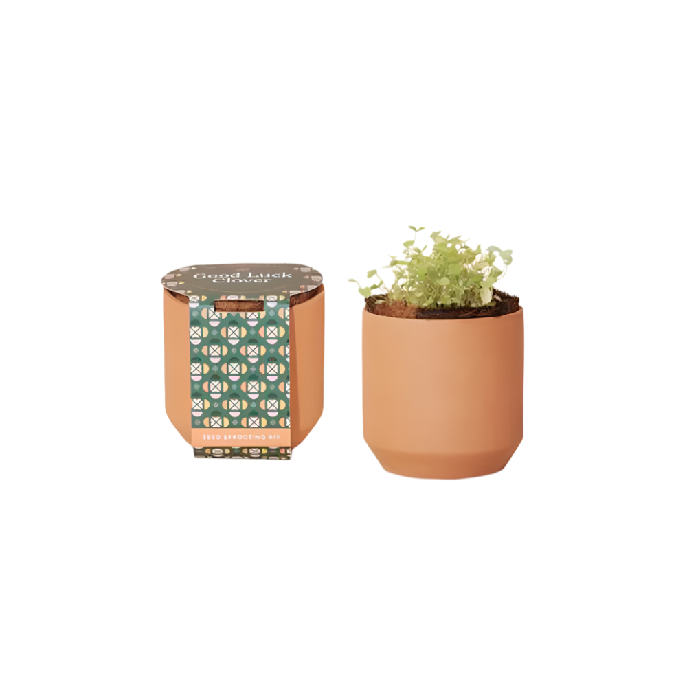 Modern Sprout® Tiny Terracotta Grow Kit Good Luck Clover - Plant Grow Kits