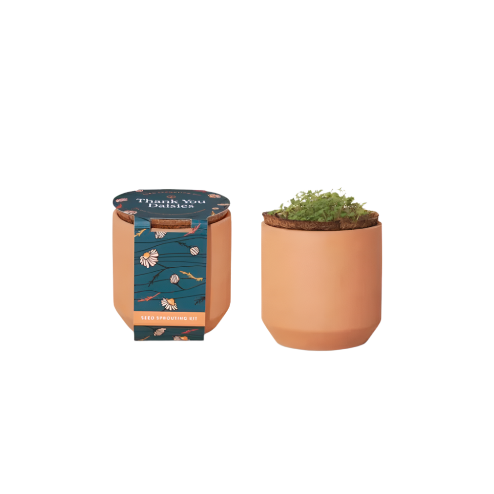 Modern Sprout® Tiny Terracotta Grow Kit Thank You Daisies - Plant Grow Kits