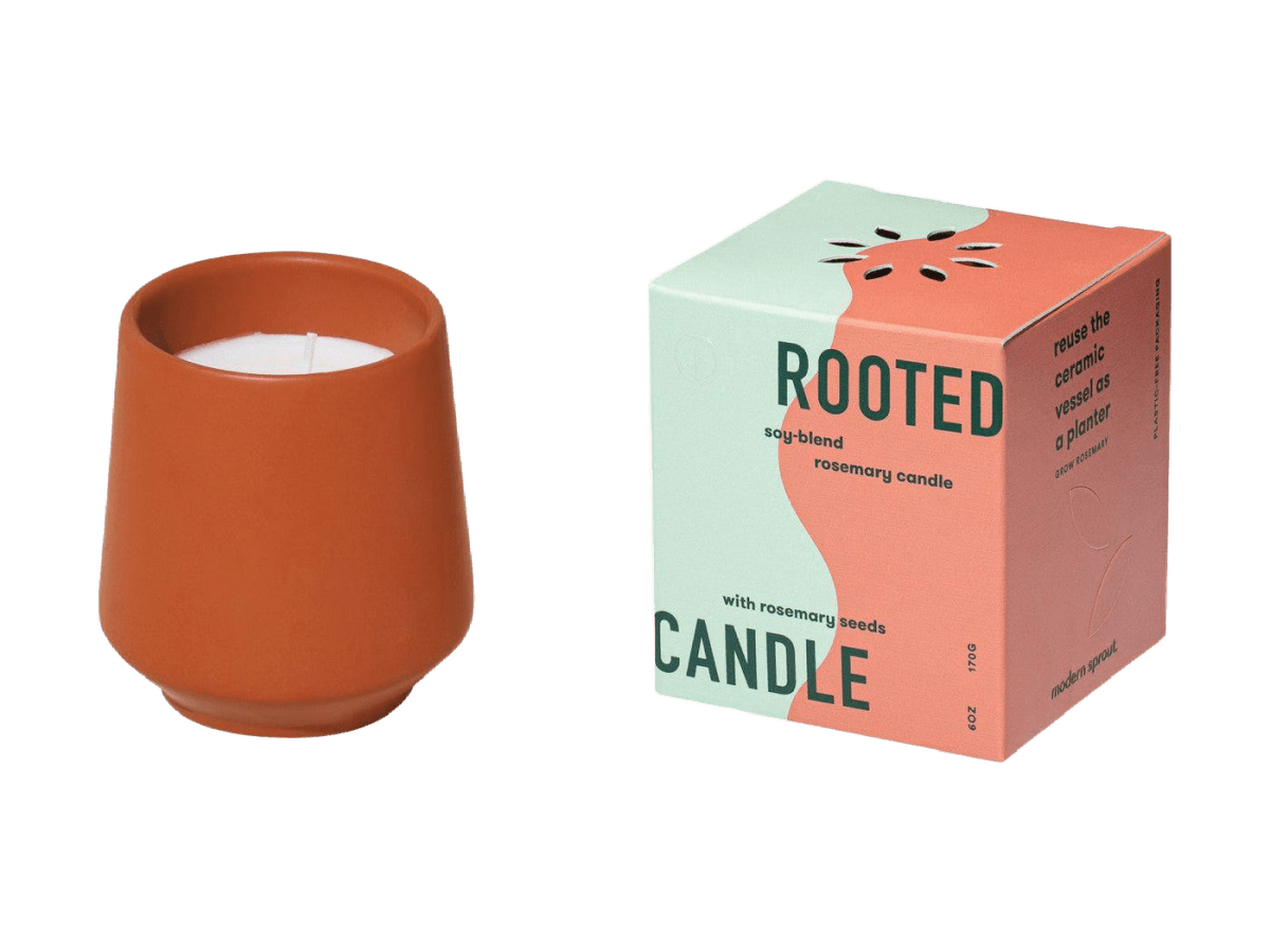 Modern Sprout® Rooted Candle - Candles - SwagWear