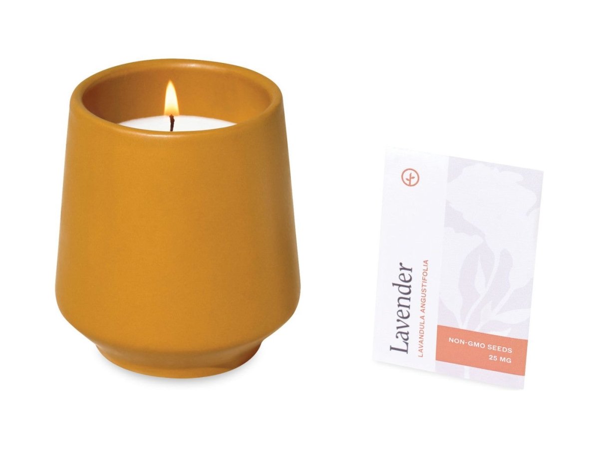 Modern Sprout® Rooted Candle - Candles - SwagWear