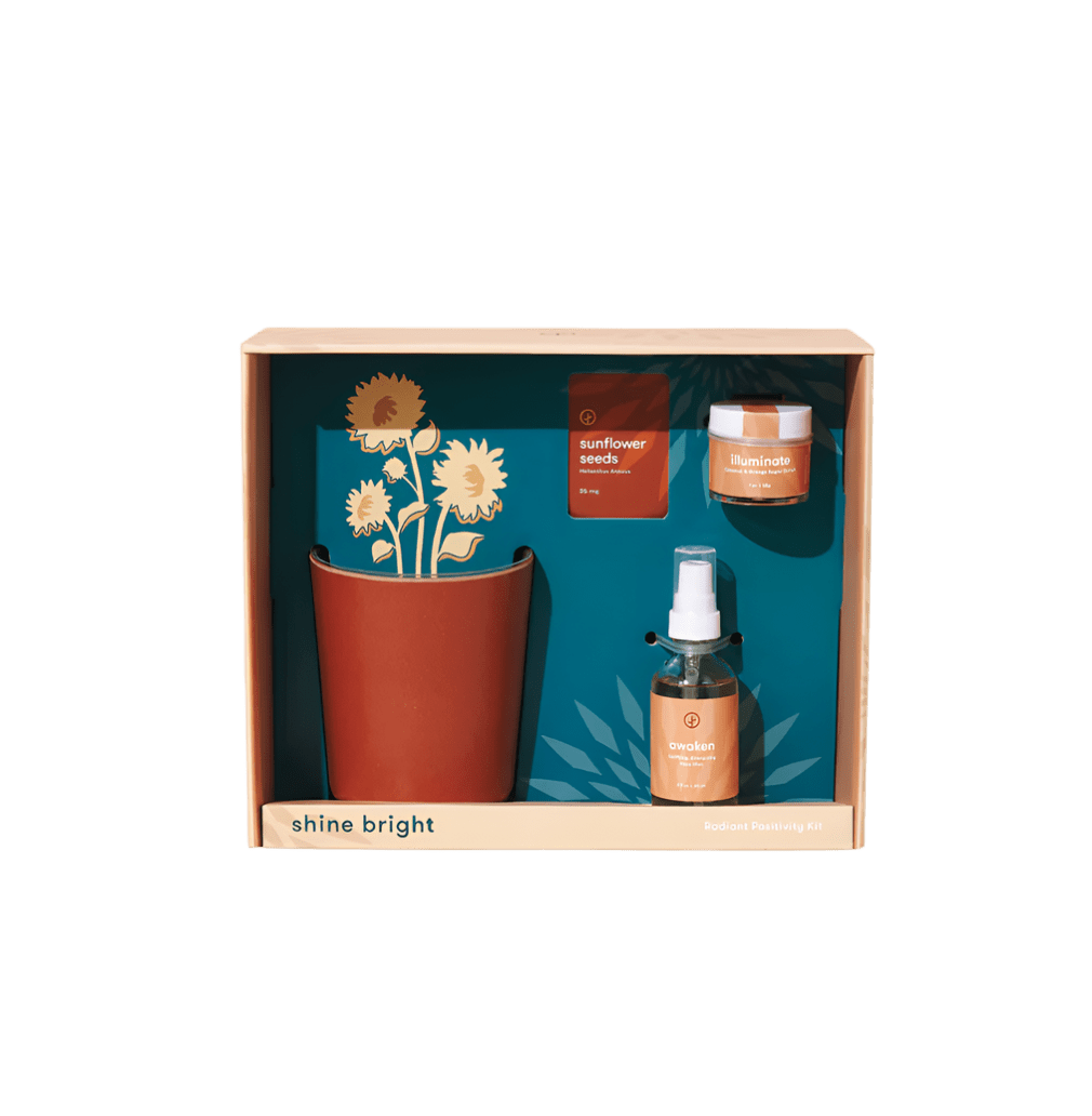 Modern Sprout® Shine Bright Take Care Kit - Sunflower - Plant Grow Kits - SwagWear