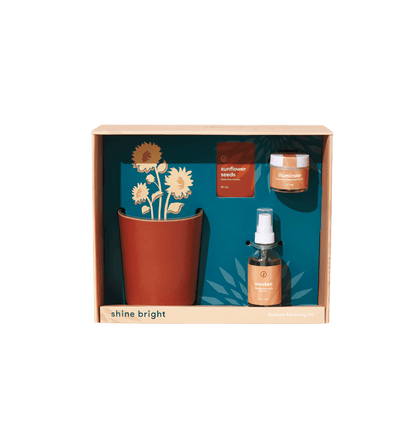 Modern Sprout® Shine Bright Take Care Kit - Sunflower - Plant Grow Kits - SwagWear