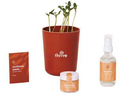 Modern Sprout® Shine Bright Take Care Kit - Sunflower - Plant Grow Kits - SwagWear