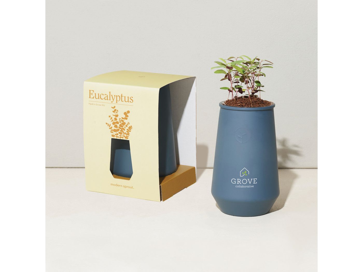 Modern Sprout Tapered Tumbler Grow Kit - Blue Agave/Eucalyptus - Plant Grow Kits
