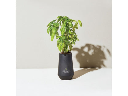 Modern Sprout Tapered Tumbler Grow Kit - Plant Grow Kits - SwagWear