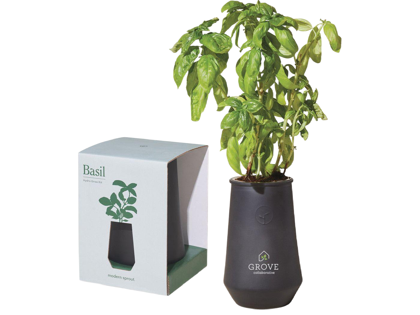 Modern Sprout Tapered Tumbler Grow Kit - Plant Grow Kits