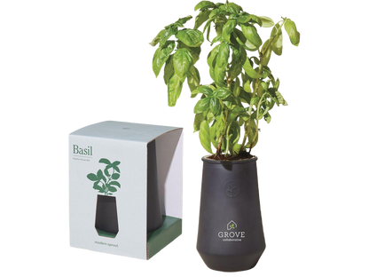 Modern Sprout Tapered Tumbler Grow Kit - Plant Grow Kits