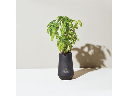Modern Sprout Tapered Tumbler Grow Kit - Plant Grow Kits