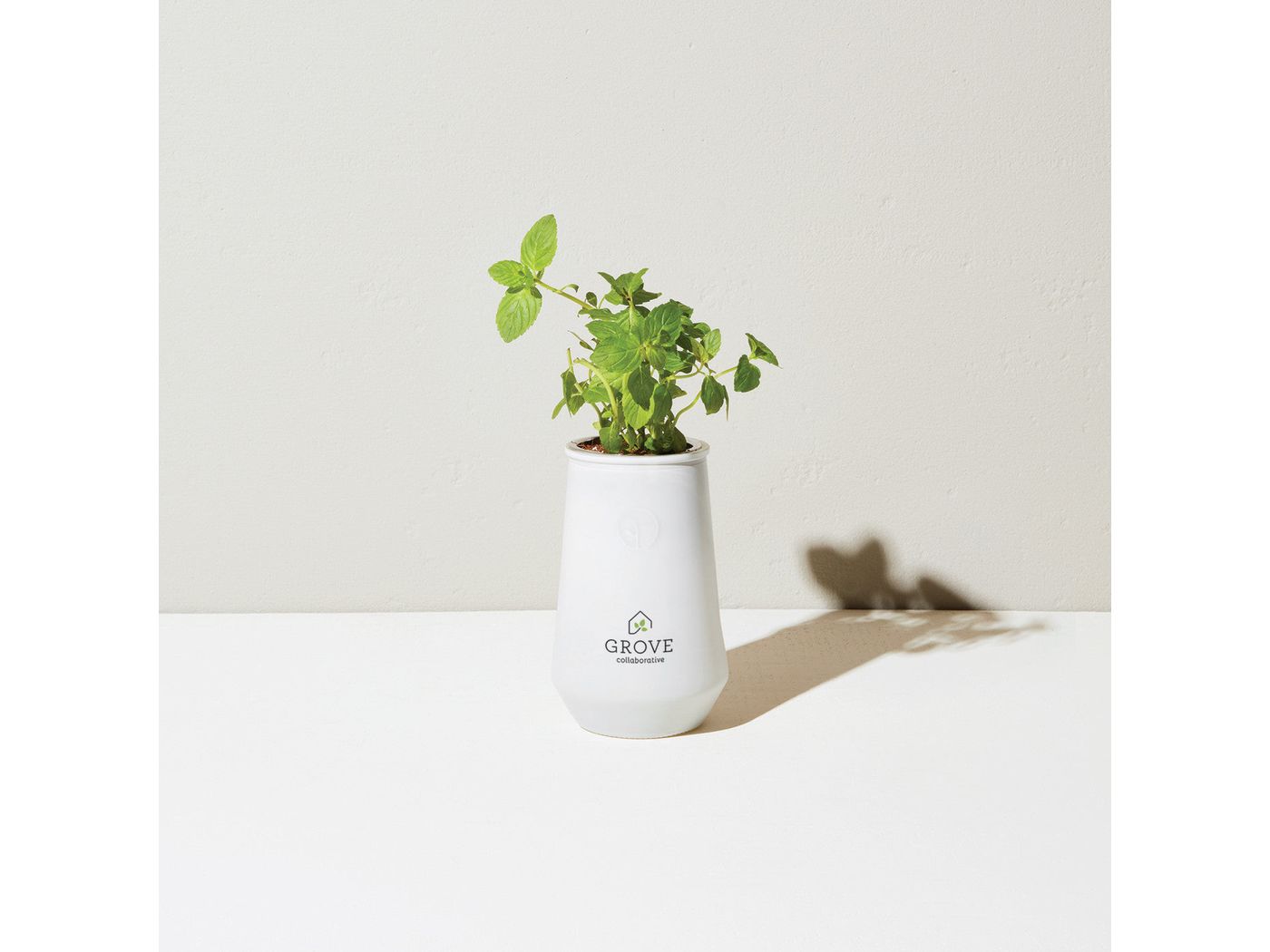 Modern Sprout Tapered Tumbler Grow Kit - Plant Grow Kits