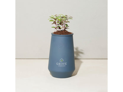 Modern Sprout Tapered Tumbler Grow Kit - Plant Grow Kits