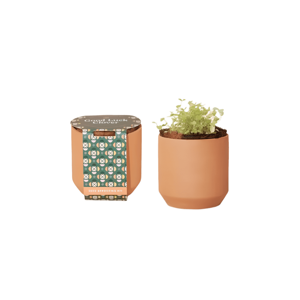 Modern Sprout® Tiny Terracotta Grow Kit Good Luck Clover - Plant Grow Kits - SwagWear