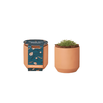 Modern Sprout® Tiny Terracotta Grow Kit Thank You Daisies - Plant Grow Kits - SwagWear