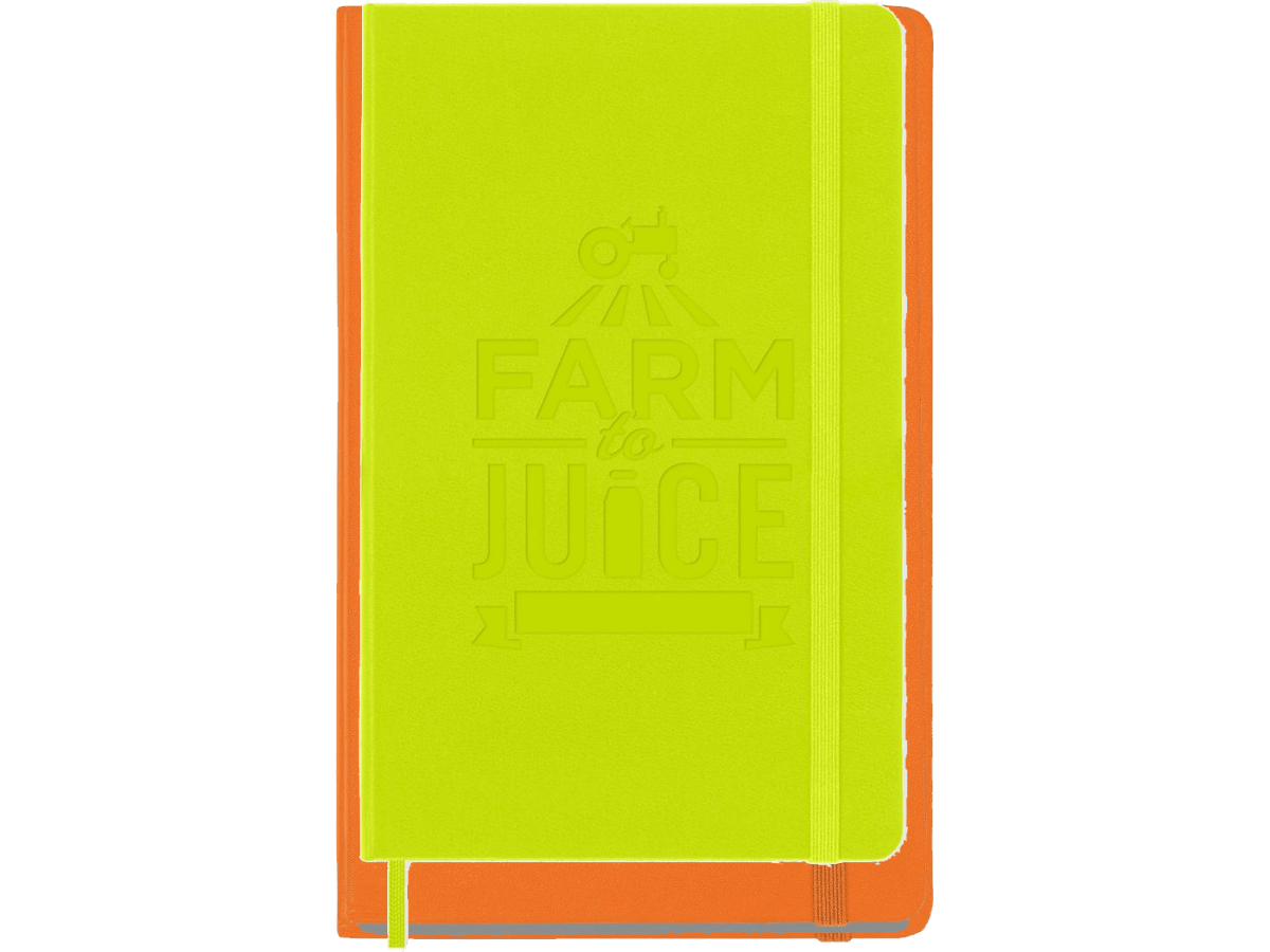 Moleskine® Hard Cover Ruled Large Notebook - Large Notebooks - SwagWear
