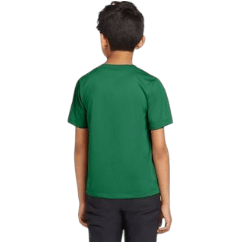 Nike Youth Team rLegend Tee - T-Shirts - SwagWear