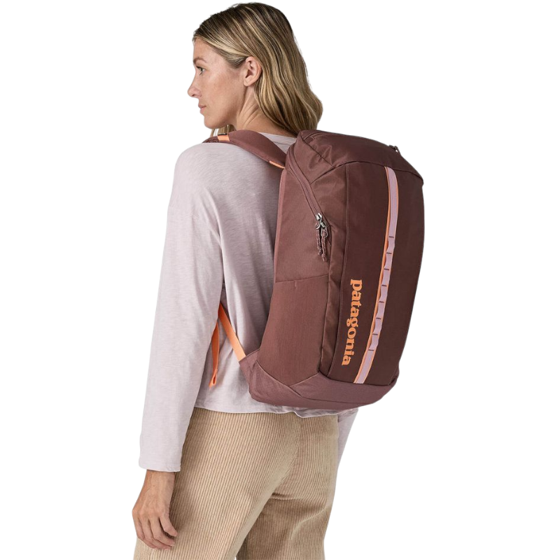 Patagonia Black Hole Pack 25L